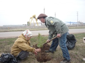Trees Planting
